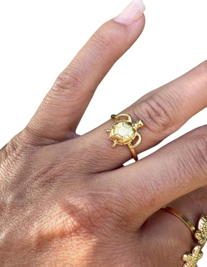 Anillo tortuga. Anillo tortuga.
