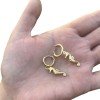 Pendientes caballito