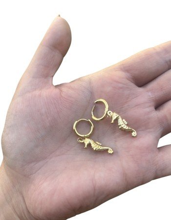 Pendientes caballito