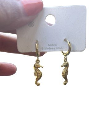 Pendientes caballito