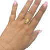 Anillo pez